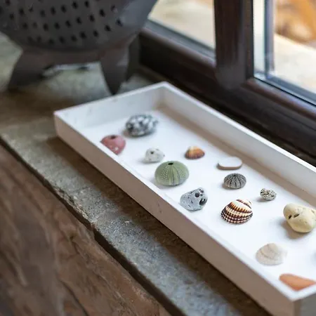 Pamina Mare ניאה סקיוני