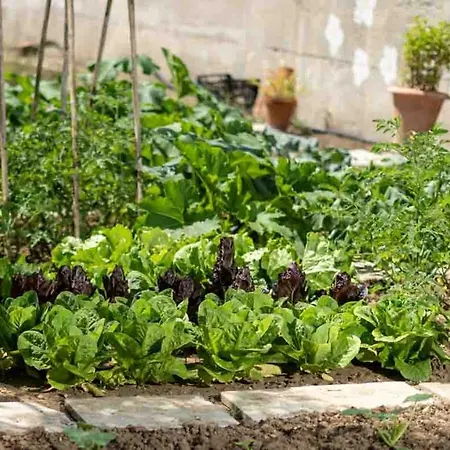 Appartement Pamina Mare Nea Skioni