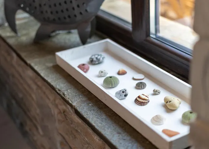 Pamina Mare 尼尔斯吉尼