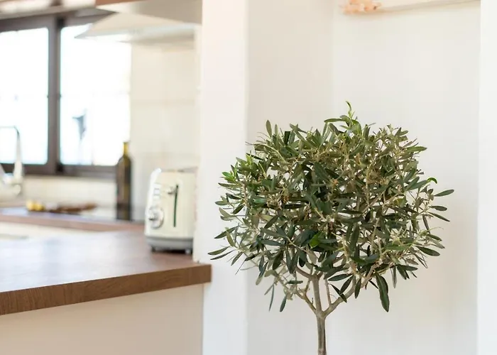 公寓 Pamina Mare 尼尔斯吉尼