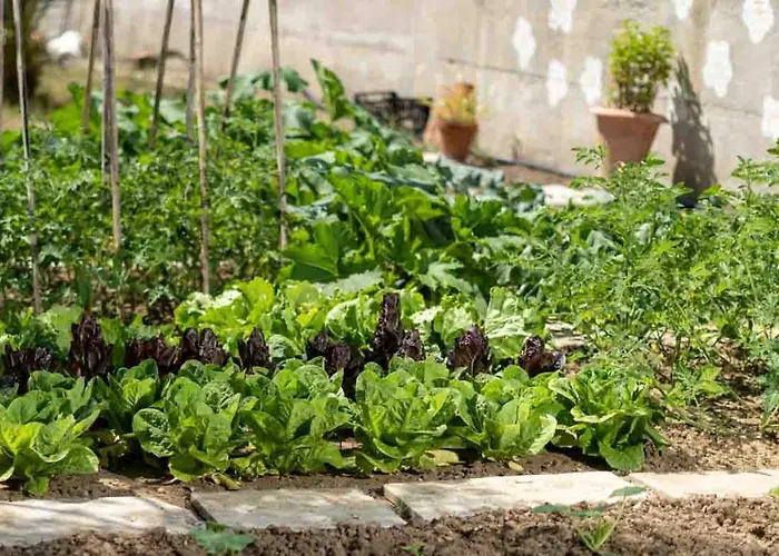 公寓 Pamina Mare 尼尔斯吉尼