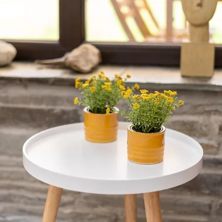 Pamina Mare * Nea Skioni