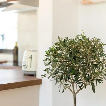 Appartement Pamina Mare Nea Skioni